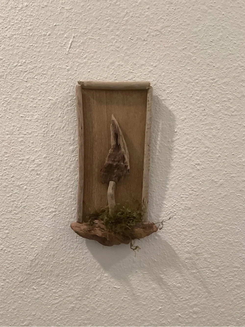 Driftwood Art, Driftwood Mushroom Wall Art , Mushroom Accent
